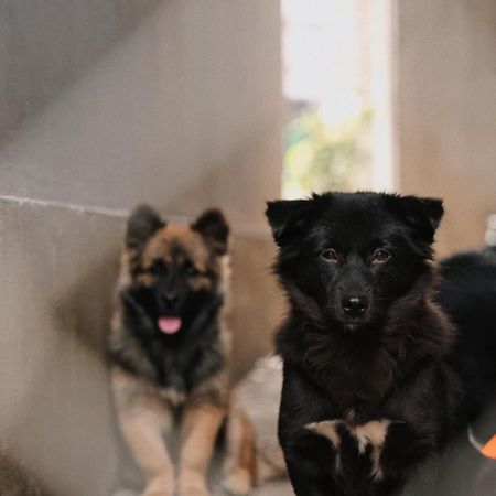 Susu Homestay Hue Thon Kim Long Екстериор снимка
