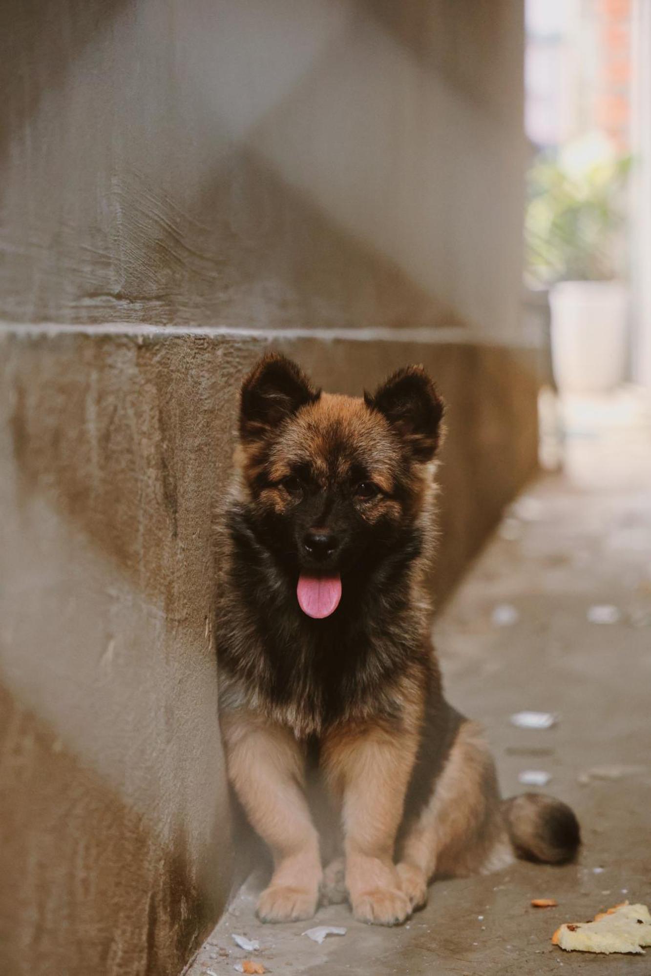 Susu Homestay Hue Thon Kim Long Екстериор снимка