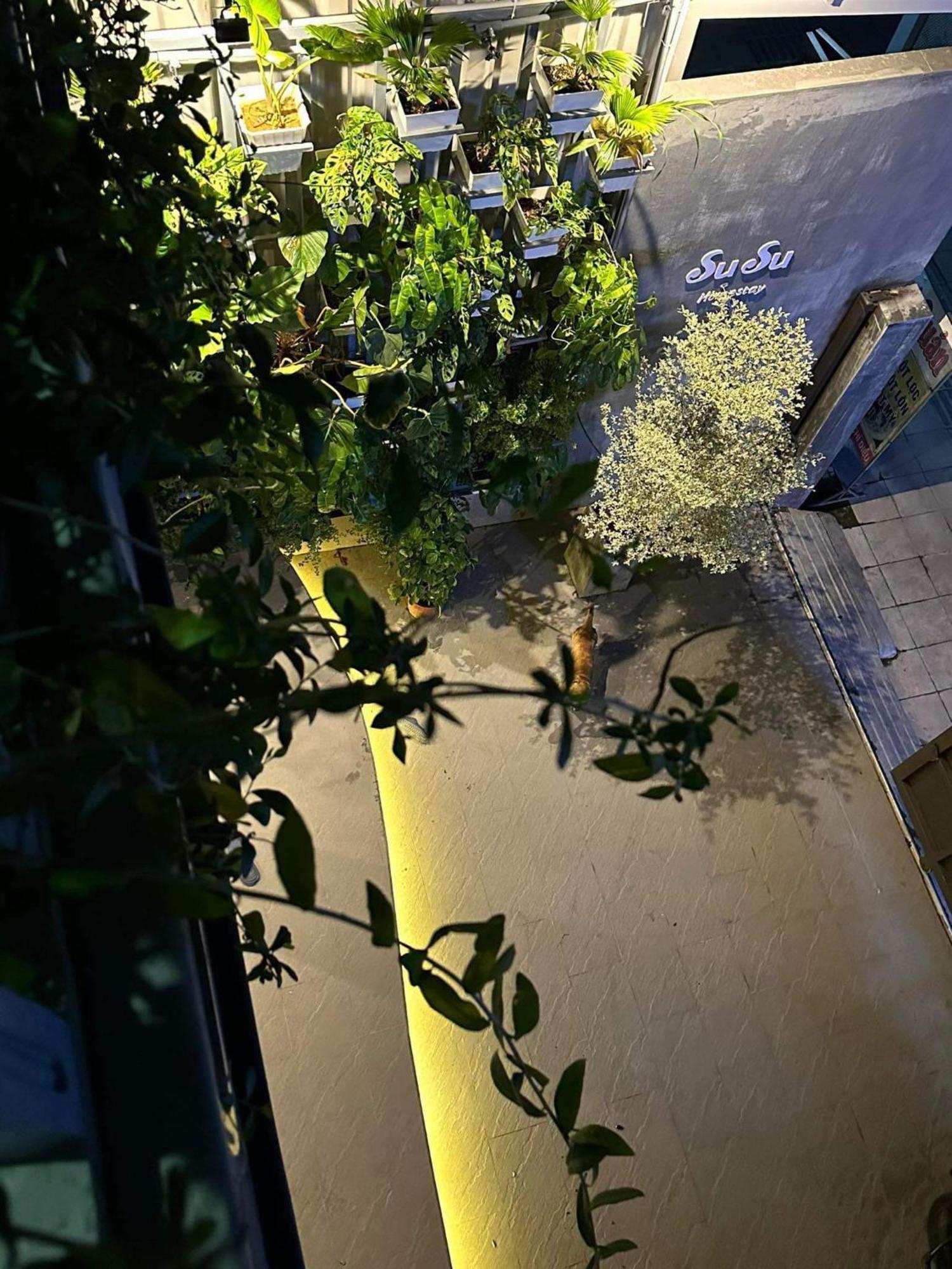 Susu Homestay Hue Thon Kim Long Екстериор снимка