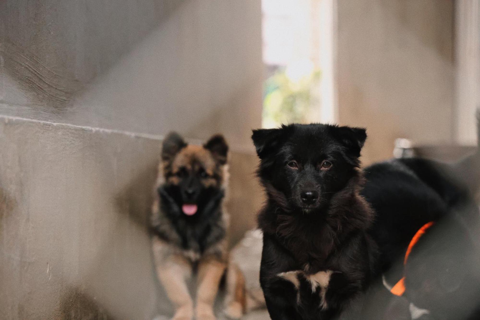 Susu Homestay Hue Thon Kim Long Екстериор снимка